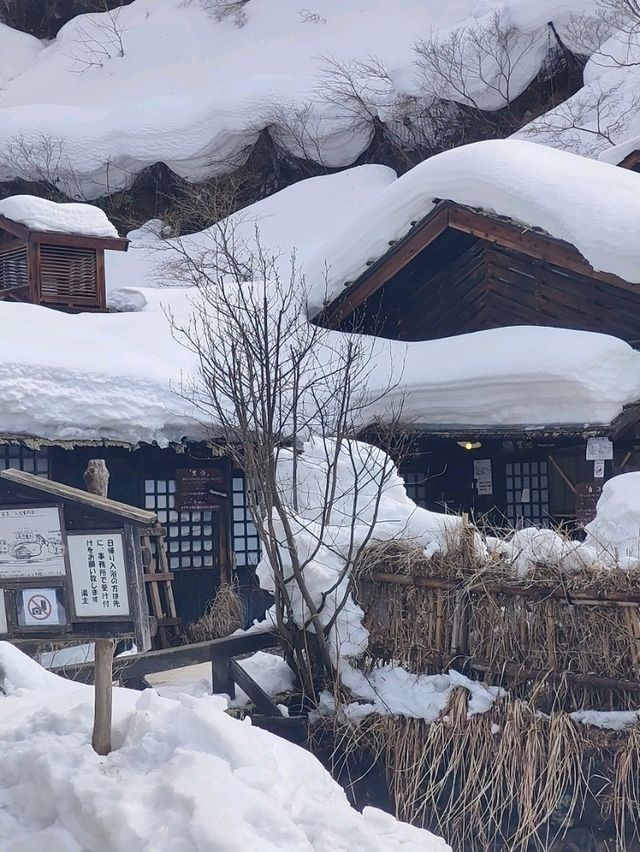 穿越時光的雪見秘湯──乳頭溫泉鶴之湯體驗記