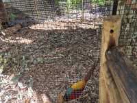Must-visit places in Caversham Wildlife Park