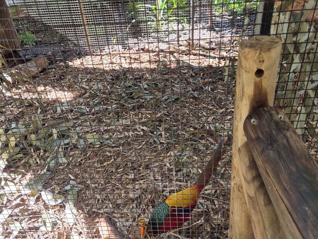 Must-visit places in Caversham Wildlife Park