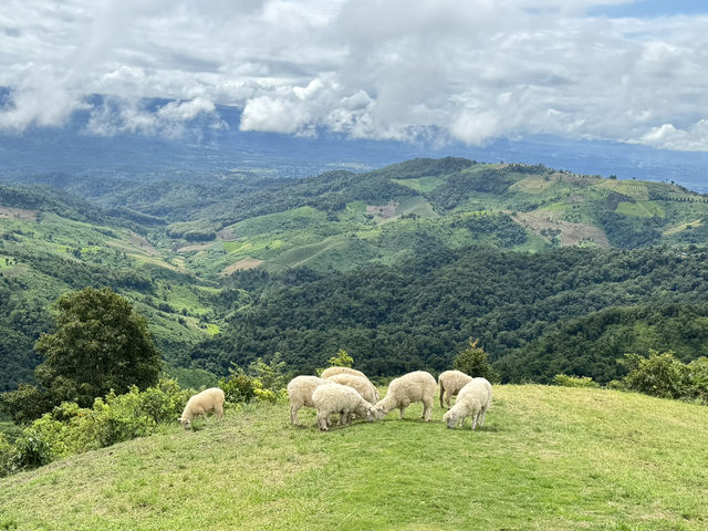 Akha FarmVille 🐑🎠⛰️