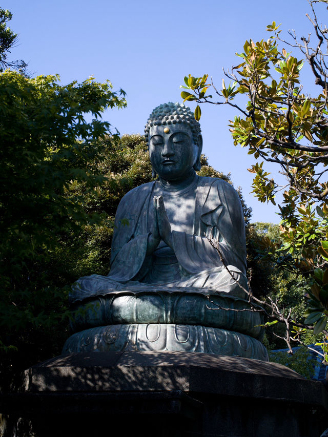 漫遊靚景巷弄 懶意滿滿 漫遊靚景巷弄 懶意滿滿