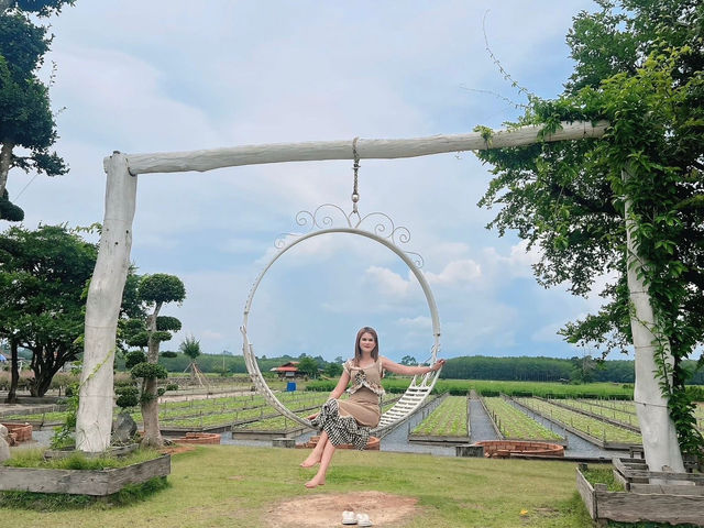 เที่ยวชมดอกไม้ที่ สวนลุงเวศน์🌻