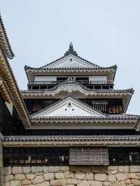 【香川旅行】松山市のシンボルといえば松山城