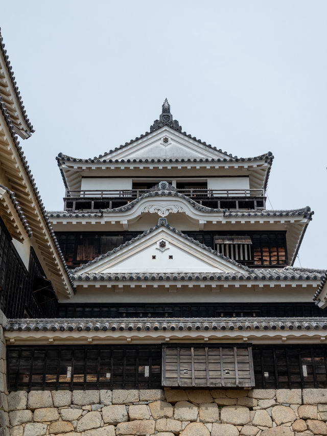 【香川旅行】松山市のシンボルといえば松山城