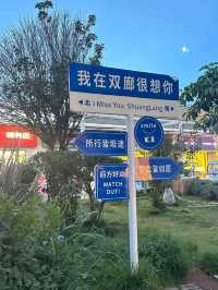 Discover the Magic of Erhai: Yunnan’s Hidden Gem