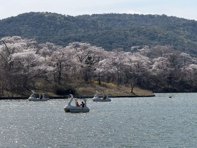 Bomunho Lake Tourism Complex