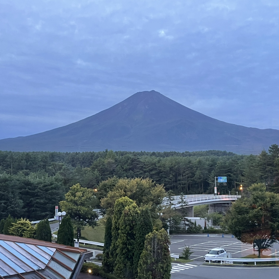 最近喺Trip.com預訂咗個日本河口湖3日2夜之旅，住咗係富士急Highland resort酒店，今次旅程超級難忘！唔單止酒店性價比高，而且行程安排順暢，仲可以日日對住富士山食早餐！即刻同大家分享我嘅行程同心得～

---

【住宿推薦】海蘭德水療度假酒店 (富士急Highland resort)

優點：

· 地理位置無得輸：酒店門口就係高速巴士站，由東京新宿搭高速巴士直達酒店門口，超方便！
· 周邊配套完善：酒店有2間特色餐廳、直通富士急樂園嘅快速通道、7-11便利店同富士山溫泉，住客可以免費入場富士急樂園同埋免費使用富士山溫泉！由溫泉行去Donki同平民餐廳只需10分鐘。
· 免費接駁巴士：酒店提供免費巴士來往主要車站，對於遊客來講真係好重要！
· 房間景觀一流：房間可以清晰望到富士山，每日醒來都心情大好！
· 旅遊資訊齊全：酒店大堂有齊河口湖巴士線資訊，計劃行程超輕鬆！

---

【Day 1】忍野八海 → 山中湖

我哋由新宿搭8:35嘅高速巴士，10:20就到達酒店。擺低行李同登記後，就開始今日嘅行程。因為趕唔切搭每小時一班嘅免費接駁巴士去富士急站，所以酒店提供免費門票俾我哋穿過富士急樂園去搭巴士，直去忍野八海。

忍野八海真係名不虛傳，水清見底，仲可以品嚐到特色小食例如草餅，免治牛肉餅同埋章魚小丸子，之後搭巴士去山中湖，可惜嘅係山中湖嘅Cafe下晝3點就已經關門，只好打個卡就走。

為咗趕酒店尾班車，我哋喺富士山站食咗Mos Burger，然後返到酒店去咗附近嘅7-11買宵夜，輕鬆結束第一日！

---

【Day 2】河口湖遊玩：天上山公園纜車 → 湖波餐廳 → 大石公園

早餐喺酒店食自助餐，食物正正常常，冇咩特別驚喜，但係2層高嘅巨型落地玻璃窗可以清晰望住富士山食早餐，真係超級享受！

食完早餐後，搭酒店免費巴士去河口湖站，再轉河口湖Red Line巴士去天上山公園纜車。不過要注意，纜車站對輪椅人士唔太友好，有好多樓梯要上。

落山後沿住河口湖行，經過幾間精品店，買咗唔少手信。之後行到去一間叫「湖波」嘅日式餐廳，餐廳空間大，食物種類多而且價錢合理，值得推介！

食完飯後搭巴士去大石公園，花園雖然比想像中細，但花海同富士山背景真係好靚，影相打卡一流！最後搭Red Line返河口湖站，再轉酒店免費巴士返酒店。

---

【Day 3】Donki掃貨 → 回程

今日12點就要搭高速巴士離開，所以冇特別安排景點。食完早餐後，行去Donki掃貨，作為成個行程嘅完美收尾！

---

【總結】

今次河口湖之旅真係好充實，酒店地理位置同設施都非常適合自由行旅客。雖然行程中有少少遺憾（例如山中湖Cafe關門早），但整體體驗依然滿分！如果你都想計劃一個輕鬆又難忘嘅河口湖之旅，不妨參考下我嘅行程啦！   