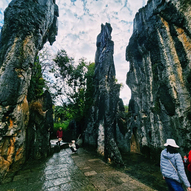 Nature’s Sculpture: Shilin Stone Forest
