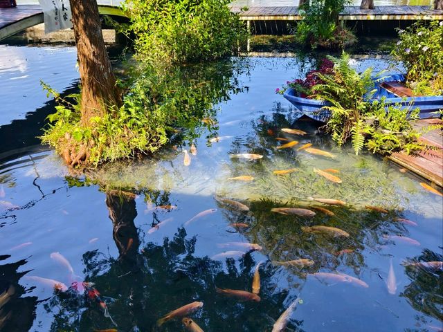 宜蘭陰雨世外桃源賞景🎋勝洋水草休閒園區