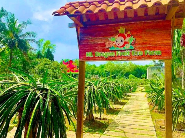 Sepang Itinerary | Dragon Fruit Farm & Beach Sunset Escape