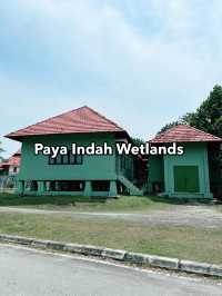 Weekend Escape to Paya Indah Wetlands: A Hidden Gem of Nature