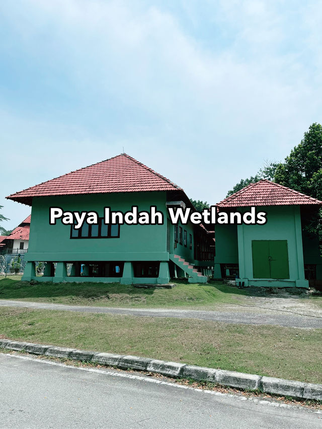 Weekend Escape to Paya Indah Wetlands: A Hidden Gem of Nature