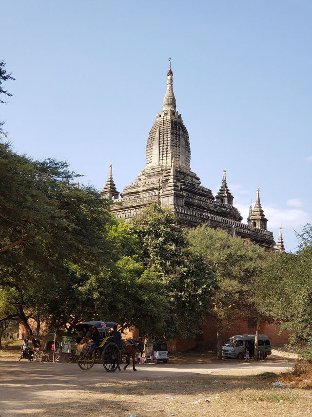 Shwe-gyu-gyi