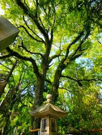 Sorasaya Inao Shrine.