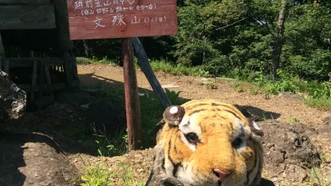 [ฟุกุอิ ภูเขามอนจู⛰] เพลิดเพลินกับการเดินป่าและชมทิวทัศน์อันงดงามของภูเขาแห่งปัญญา — traveler post in ซะบะเอะ