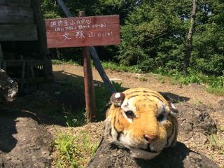 【후쿠이·문수산⛰】 토모에의 산에서 등산 & 절경 파노라마를 즐긴다