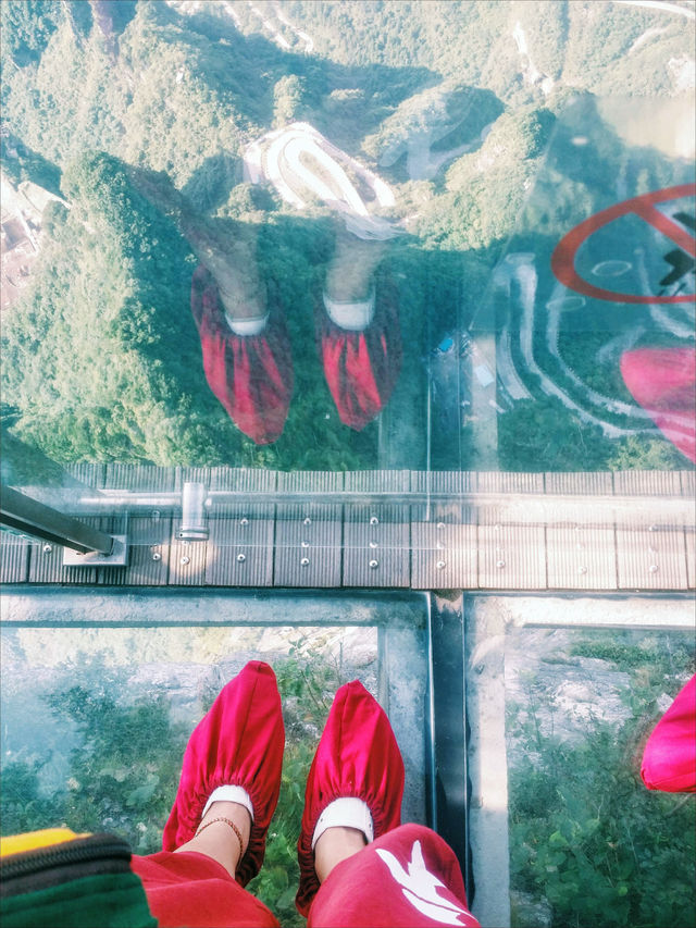 Tianmen Mountain: What Makes Tourists' Hearts Stop Right on the World's Longest Cable Car?