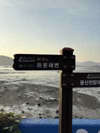 가을 여행 끝판왕 순천