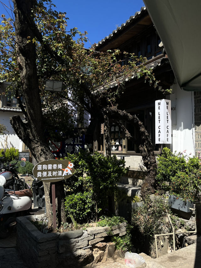 ME LET Café : Lijiang’s Hidden Specialty Coffee