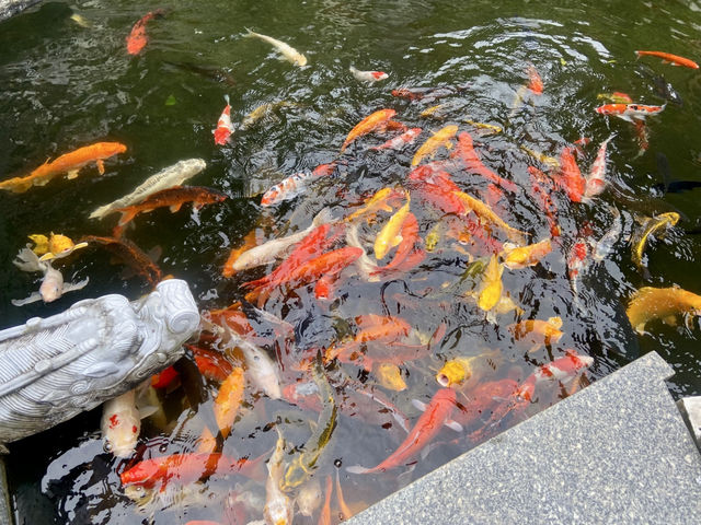 西方寺✨近距離體驗中式美學魅力·雨中感受古韻🌧  