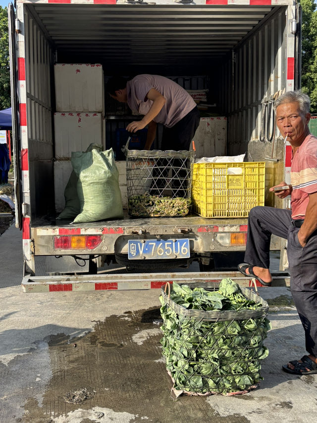เดินตลาด Huaqing Agricultural Products Market