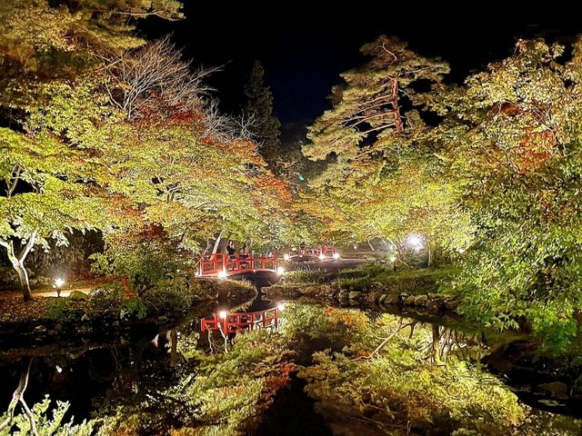 冬だけじゃない！秋の新潟もオススメ🎃🍁🍄