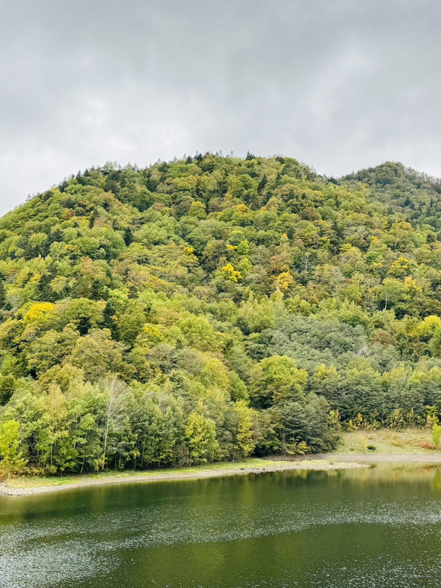 🍃自然と癒しに包まれる定山渓の休日 🍃自然と癒しに包まれる定山渓の休日