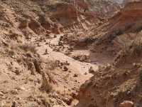 Amidst the Gobi Danxia: A Trail Through Silence