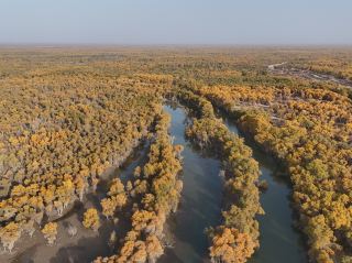 秋日河畔的魔法🌞