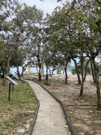 ชมป่าหินงาม รับลมหยาว  ‘ชัยภูมิ‘