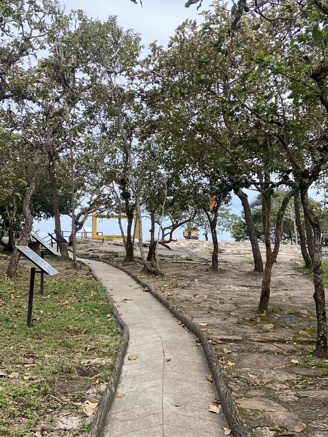 ชมป่าหินงาม รับลมหยาว  ‘ชัยภูมิ‘