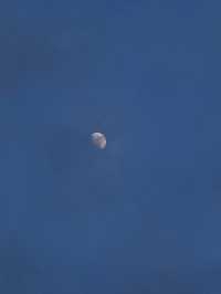 🌿🏡 Suneta Hostel