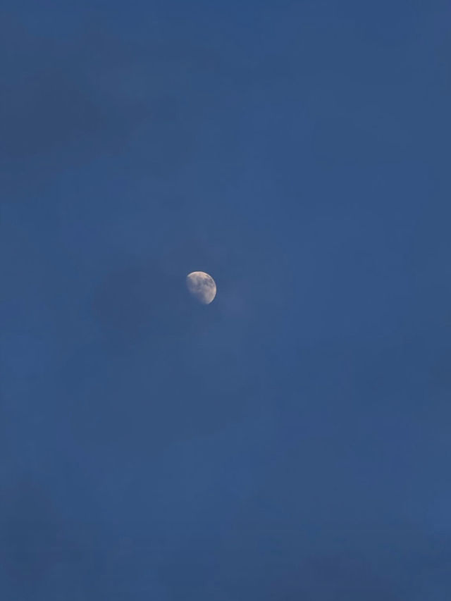 🌿🏡 Suneta Hostel 🌿🏡 Suneta Hostel