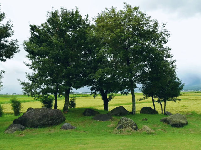 The Soloist's Volcanic Vista: Aso Plaza Hotel Garden