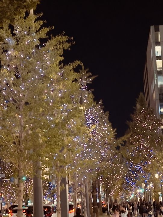 🍁神戶3日深度遊行程全攻略！漫步紅鳥居小徑＋西式建築美照必打卡