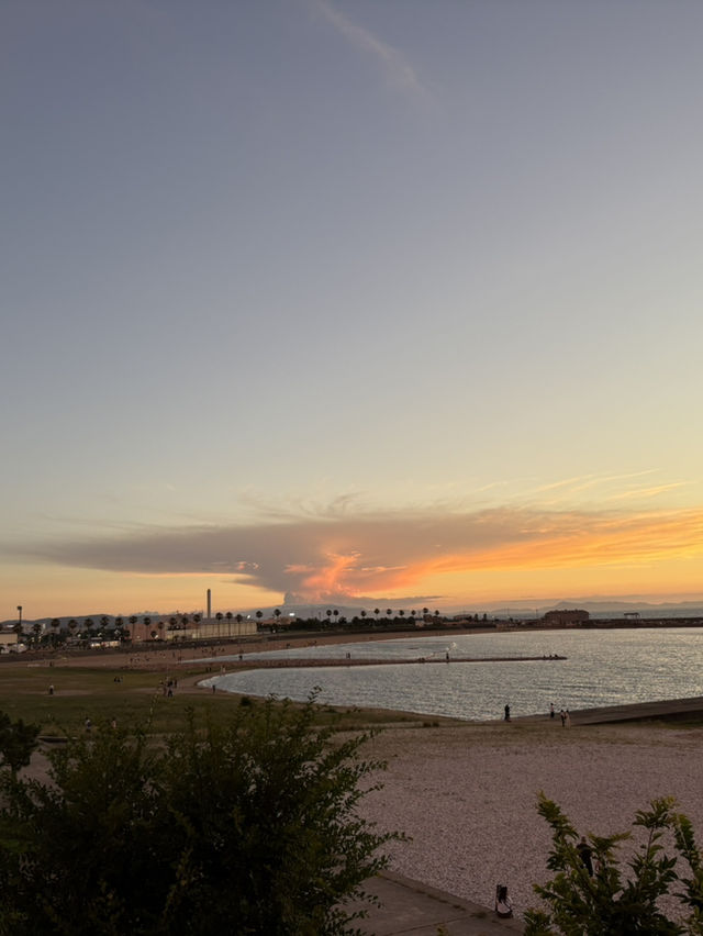 泉南ロングパークで夕焼けデート