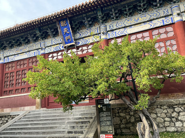 Why Dai Temple Is So Important