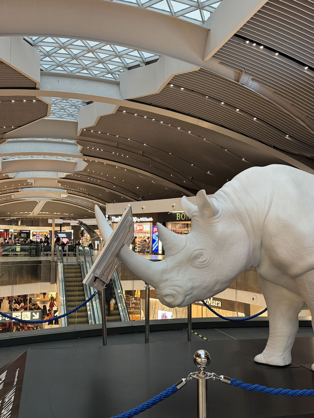 로마 국제공항, 이탈리아 여행의 관문이 되는 허브