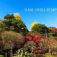 🌸 รีวิว: วัดฮาเซะ-เดระ (Hase-dera Temple) 
