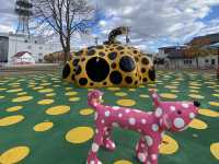 來青森、八戶，千萬不可錯過的「十和田市當代美術館」