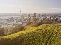 奧克蘭最高嘅火山-超人氣觀景台