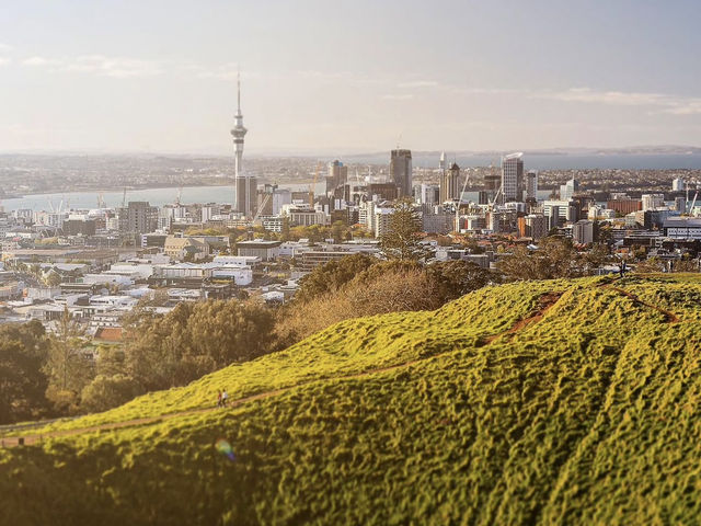 奧克蘭最高嘅火山-超人氣觀景台