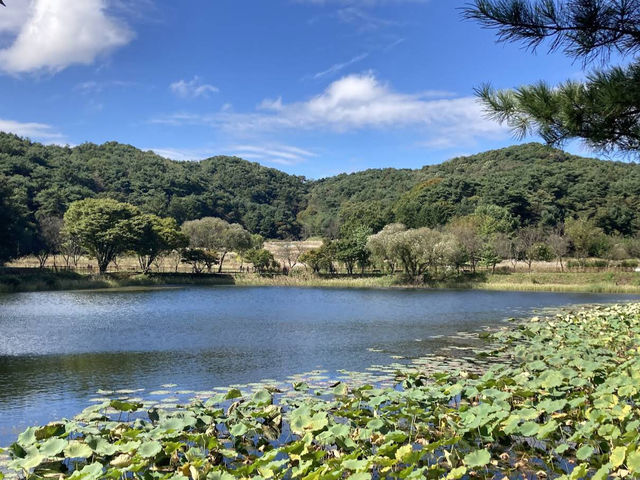 Sangdang Sanseong Fortress 상당산성 Sangdang Sanseong Fortress 상당산성