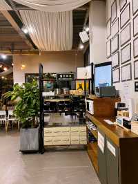 밤의 아늑한 스윗 솔트🌿