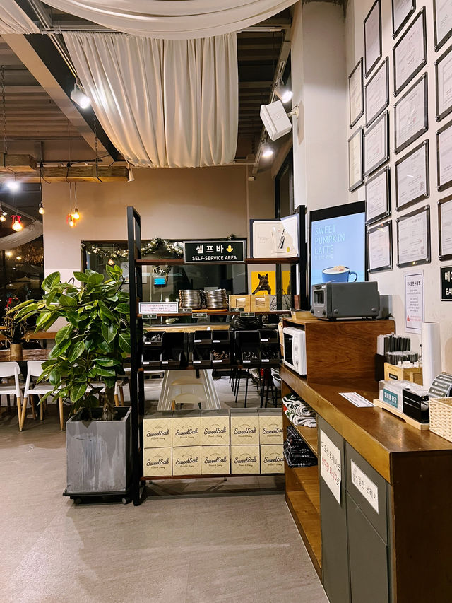 밤의 아늑한 스윗 솔트🌿 밤의 아늑한 스윗 솔트🌿