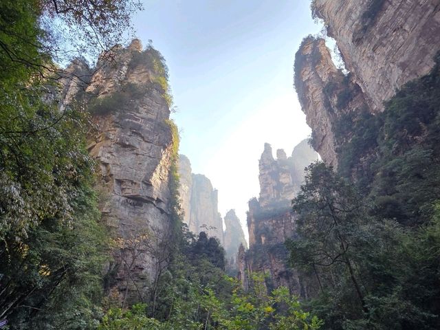 คู่มือเที่ยวหูหนาน 7 วัน ด้วยตนเอง