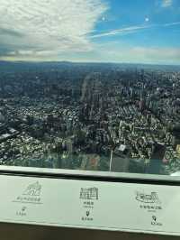 台北101的耶誕季,城市裡最亮的一顆星 ✨