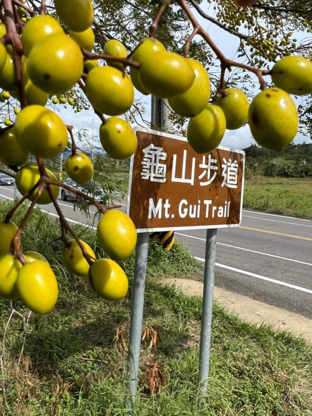 《屏東龜山步道:海景、山景一次滿足的輕量散步路線》 《屏東龜山步道:海景、山景一次滿足的輕量散步路線》