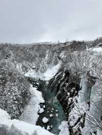 ❄️ Hokkaido Winter Wonder: Sapporo, Asahikawa & Otaru (7 Days)