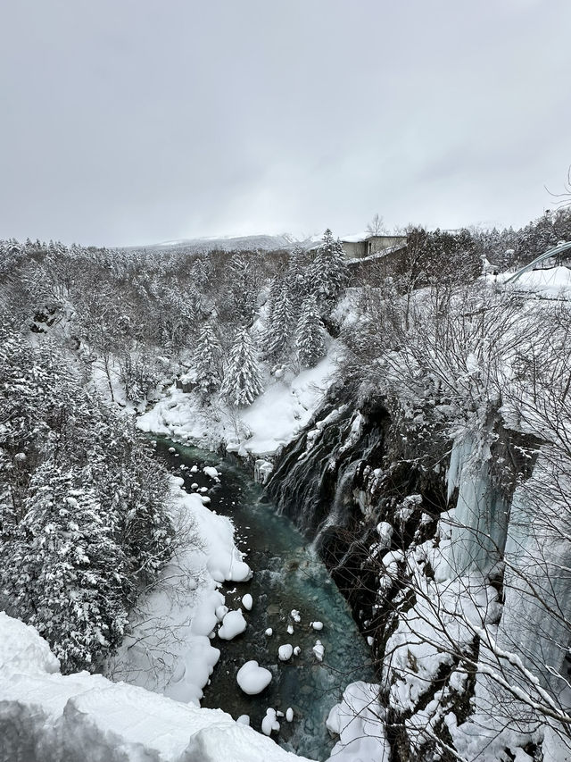 ❄️ Hokkaido Winter Wonder: Sapporo, Asahikawa & Otaru (7 Days) ❄️ Hokkaido Winter Wonder: Sapporo, Asahikawa & Otaru (7 Days)